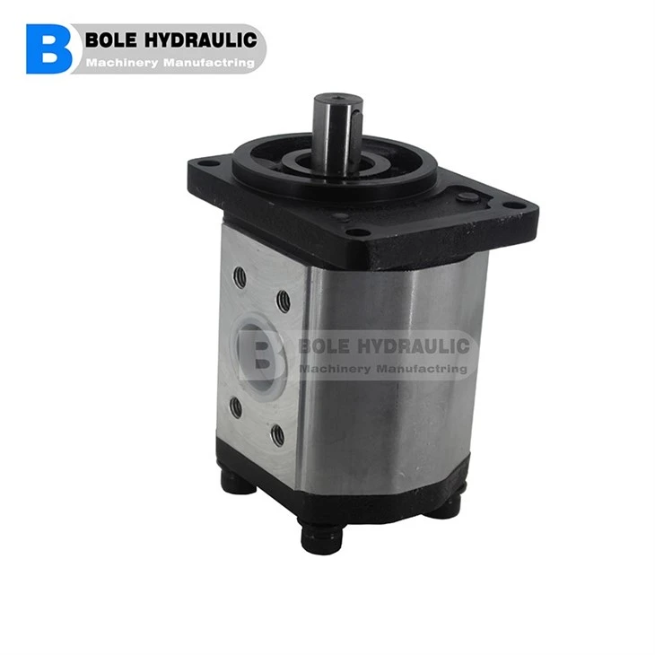 2PE Aluminium Gear Pumps Salami