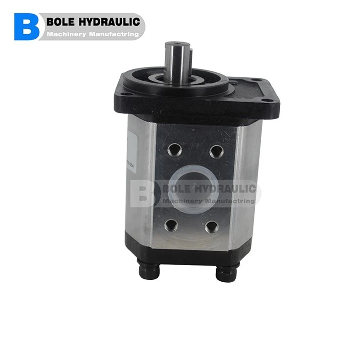 2PE Aluminium Gear Pumps Salami